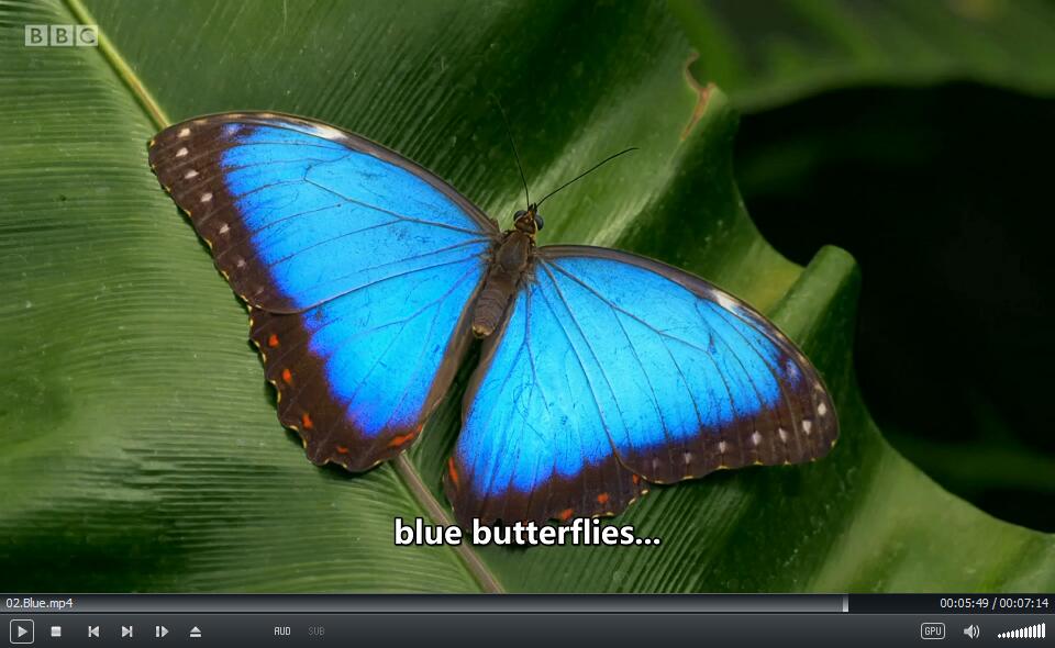 BBC Colours 颜色 图片11