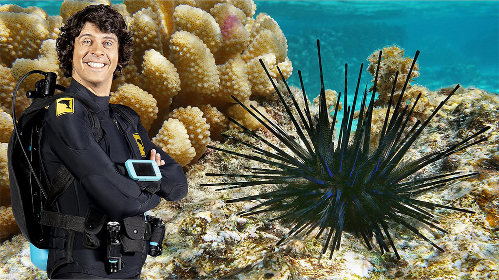 Andy's Aquatic Adventures BBC 安迪 图片2 Andy's Aquatic Adventures BBC 安迪 图片1