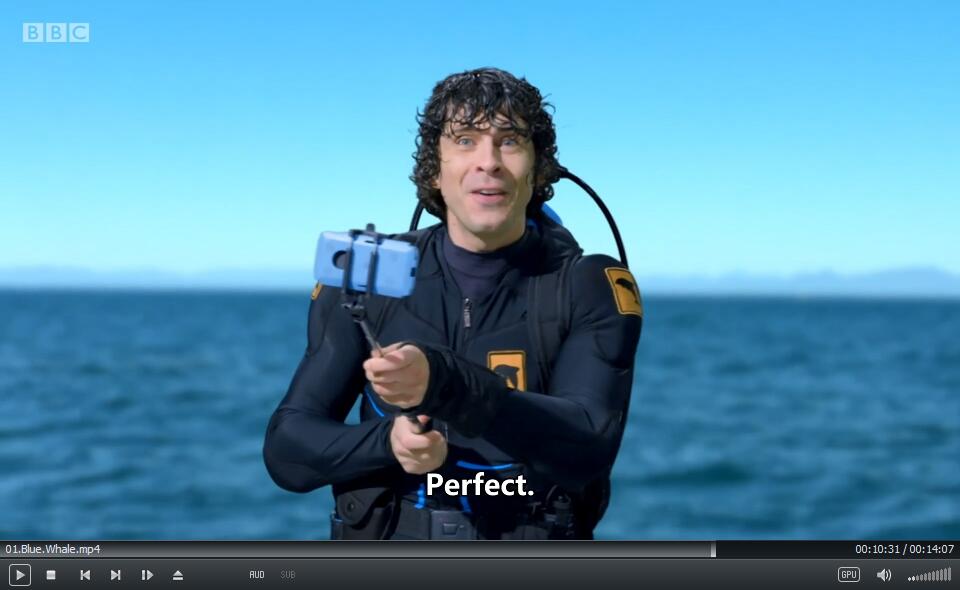 Andy's Aquatic Adventures BBC 安迪 图片12 Andy's Aquatic Adventures BBC 安迪 图片11