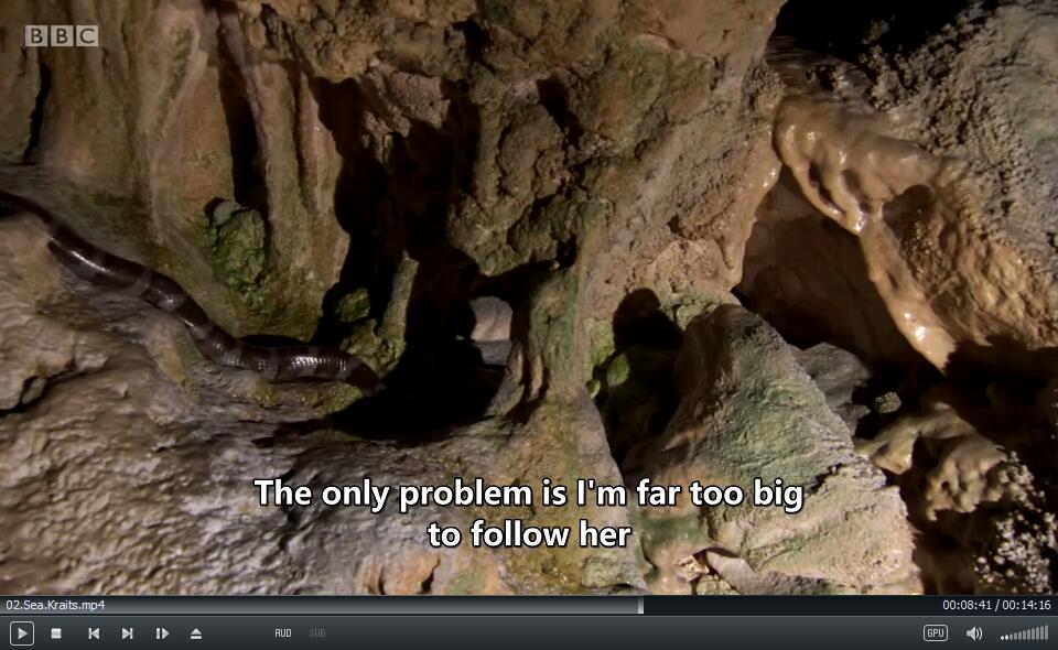 Andy's Aquatic Adventures BBC 安迪 图片14 Andy's Aquatic Adventures BBC 安迪 图片13