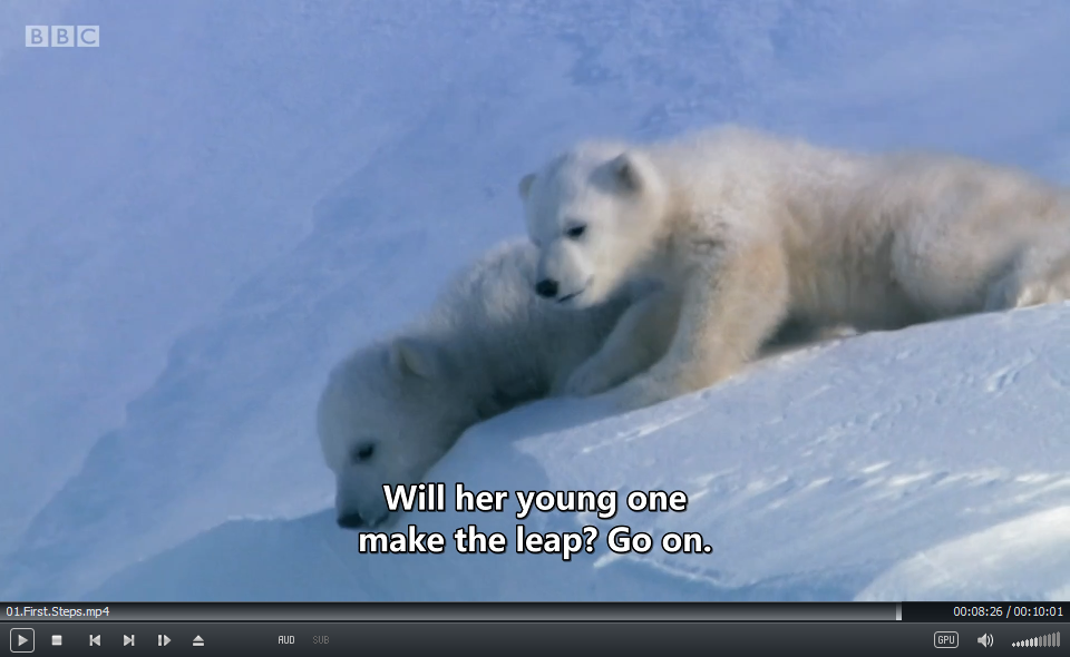 Andy's Baby Animals BBC 安迪 图片12 Andy's Baby Animals BBC 安迪 图片11