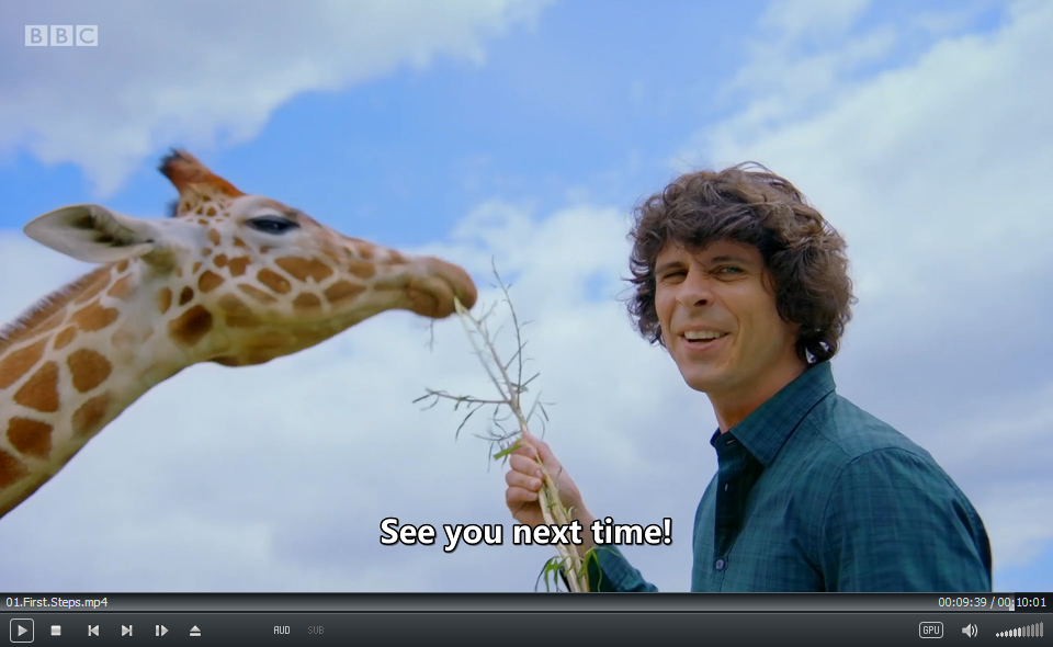 Andy's Baby Animals BBC 安迪 图片20 Andy's Baby Animals BBC 安迪 图片19