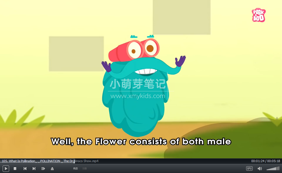 Peekaboo Kidz Youtube 图片4 Peekaboo Kidz Youtube 图片3
