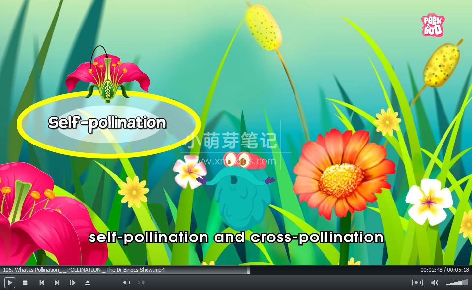 Peekaboo Kidz Youtube 图片6 Peekaboo Kidz Youtube 图片5