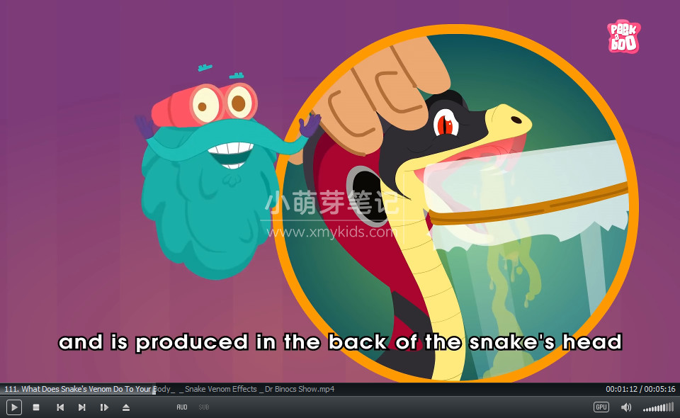 Peekaboo Kidz Youtube 图片8 Peekaboo Kidz Youtube 图片7