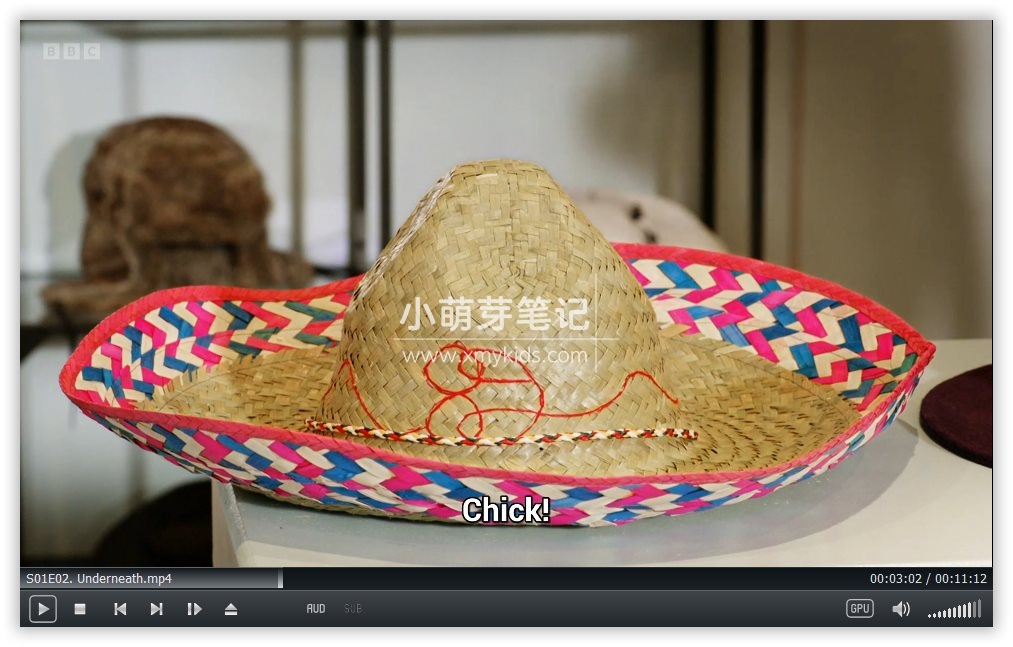 Twirlywoos 趣趣知知鸟 图片12 Twirlywoos 趣趣知知鸟 图片11