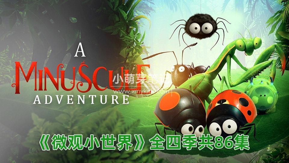 法国纪录片微观小世界动画片《Minuscule昆虫总动员》全四季共86集,百度云网盘下载!_小萌芽笔记