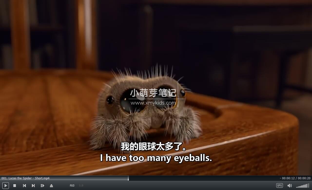 Lucas the Spider 卢卡斯 小蜘蛛卢卡斯 图片8 Lucas the Spider 卢卡斯 小蜘蛛卢卡斯 图片7