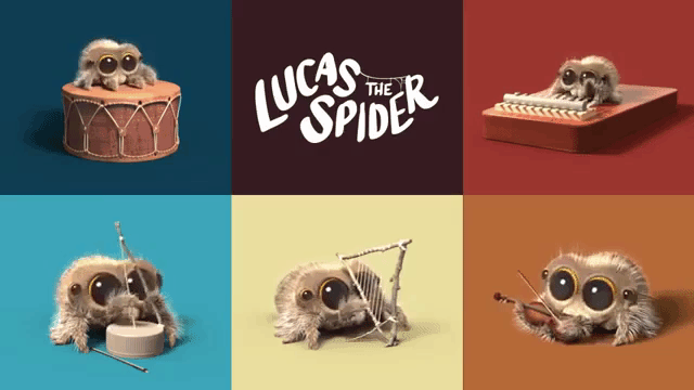 Lucas the Spider 卢卡斯 小蜘蛛卢卡斯 图片4 Lucas the Spider 卢卡斯 小蜘蛛卢卡斯 图片3