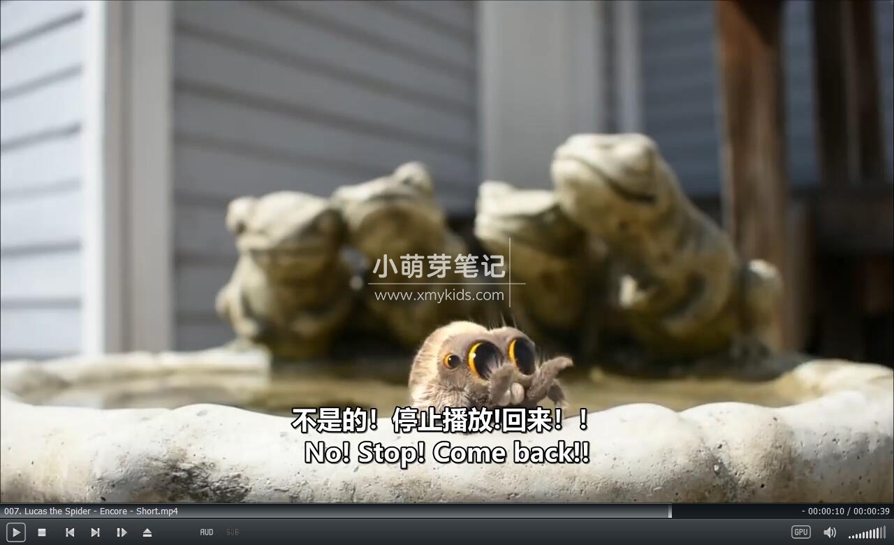 Lucas the Spider 卢卡斯 小蜘蛛卢卡斯 图片16 Lucas the Spider 卢卡斯 小蜘蛛卢卡斯 图片15