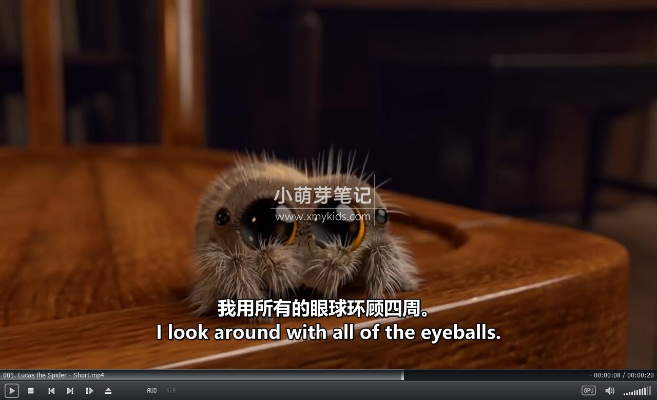 Lucas the Spider 卢卡斯 小蜘蛛卢卡斯 图片10 Lucas the Spider 卢卡斯 小蜘蛛卢卡斯 图片9