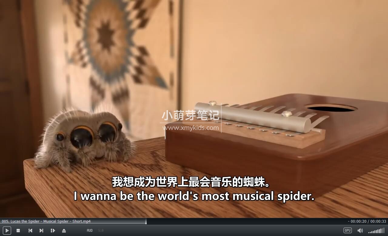 Lucas the Spider 卢卡斯 小蜘蛛卢卡斯 图片12 Lucas the Spider 卢卡斯 小蜘蛛卢卡斯 图片11