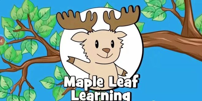 Maple Leaf Learning 图片5