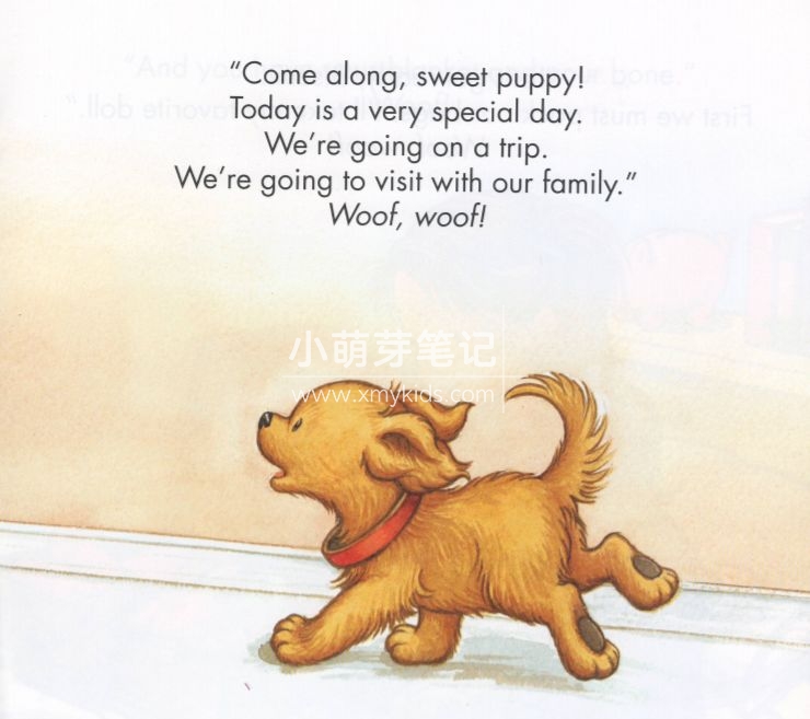 Biscuit 饼干狗 图片12 Biscuit 饼干狗 图片11