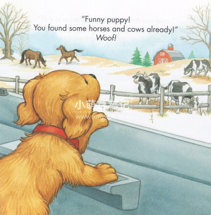 Biscuit 饼干狗 图片14 Biscuit 饼干狗 图片13