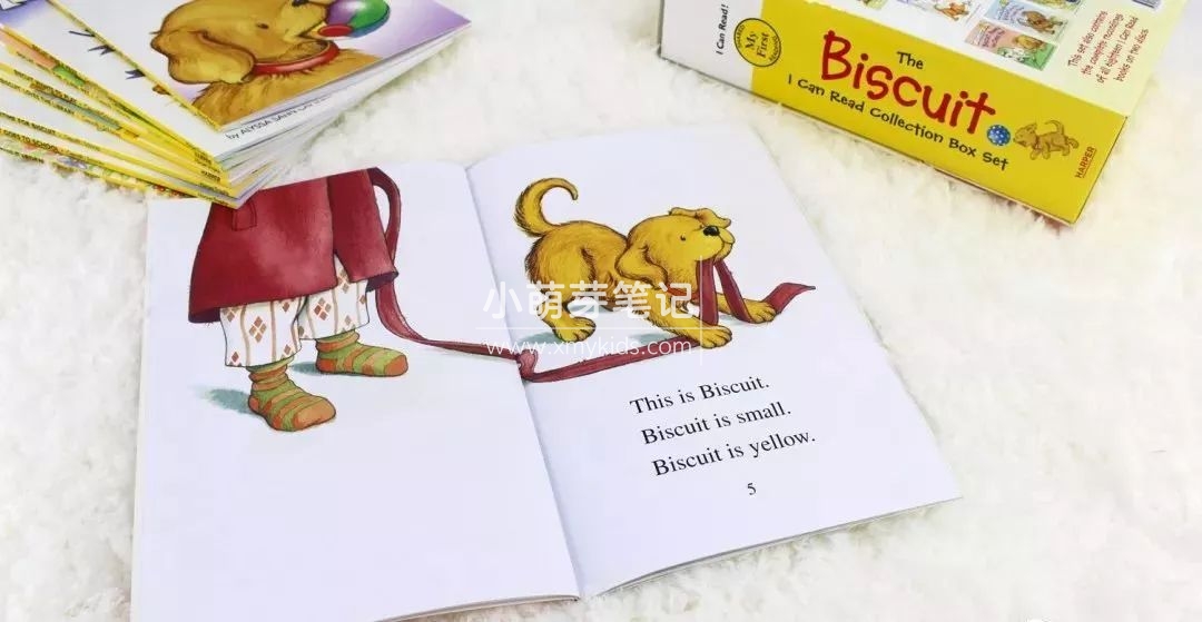 Biscuit 饼干狗 图片8 Biscuit 饼干狗 图片7