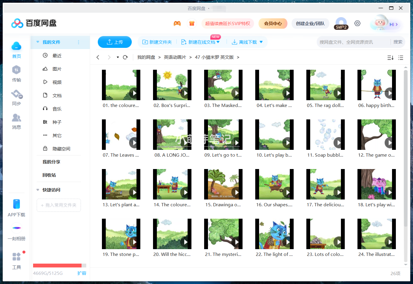 Miro The Cat 小猫米罗 图片19