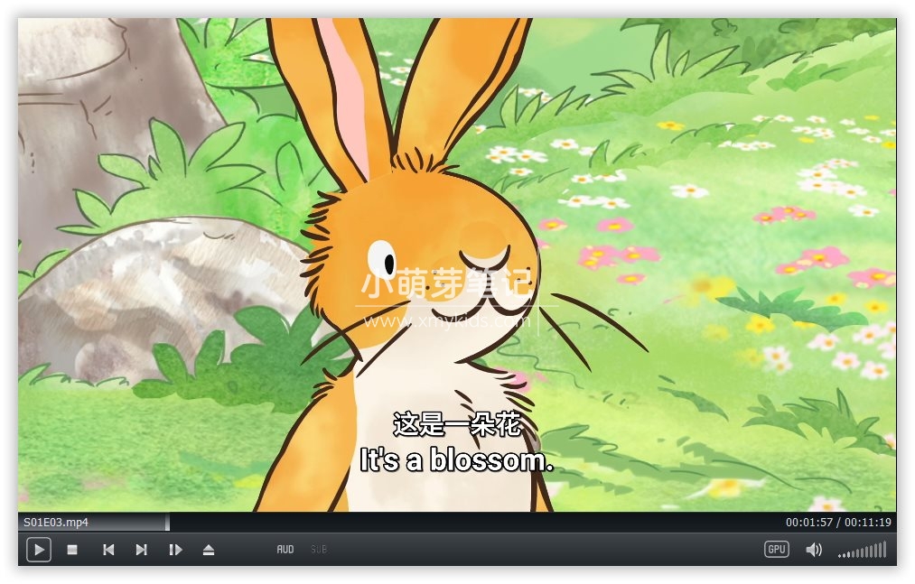 Guess How Much I Love You 猜猜我有多爱你 图片13