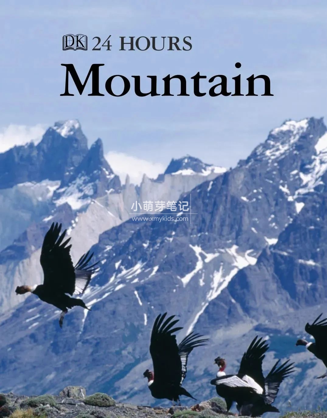 DK儿童百科全书 图片13