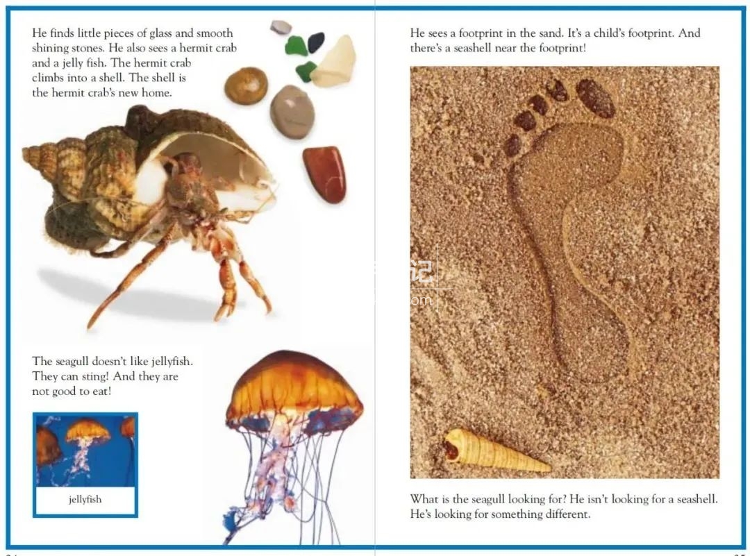 DK儿童百科全书 图片25