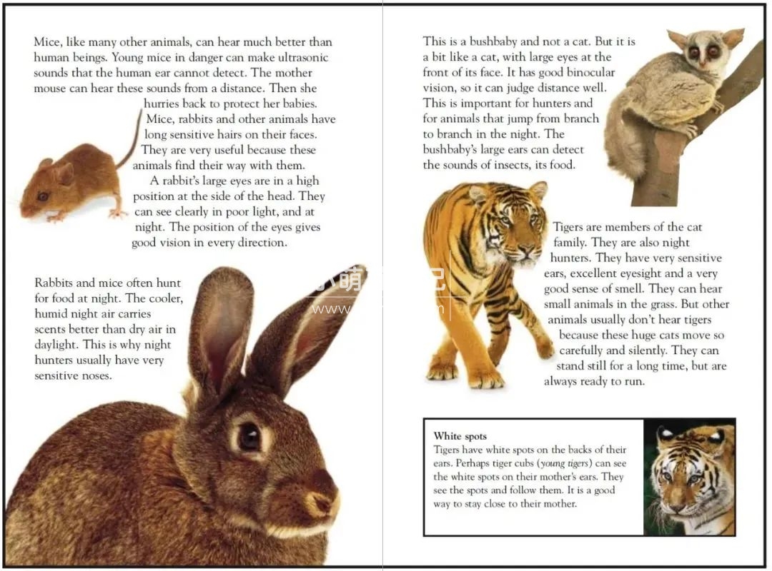 DK儿童百科全书 图片21