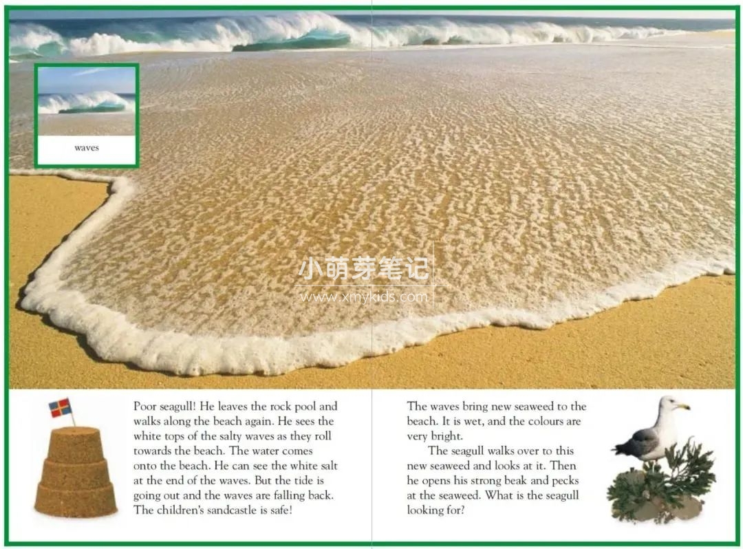 DK儿童百科全书 图片23