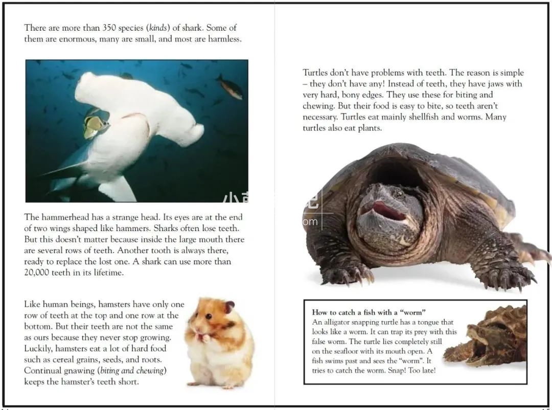 DK儿童百科全书 图片19