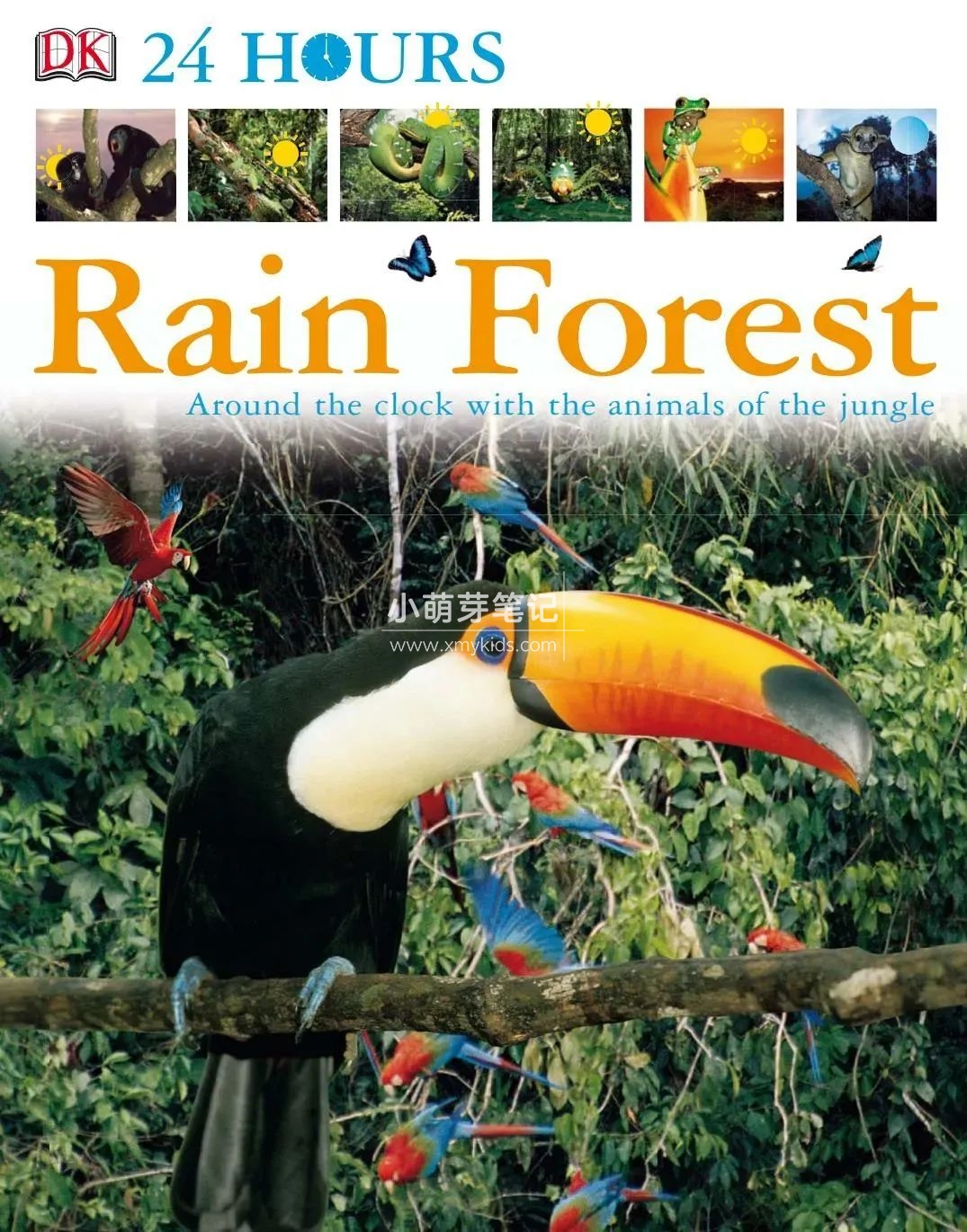 DK儿童百科全书 图片17