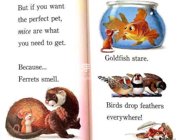 Step Into Reading 兰登分级读物 图片27