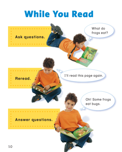 StoryTown StoryTown教材 图片11