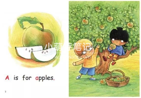 红火箭分级阅读 图片16 红火箭分级阅读 图片15