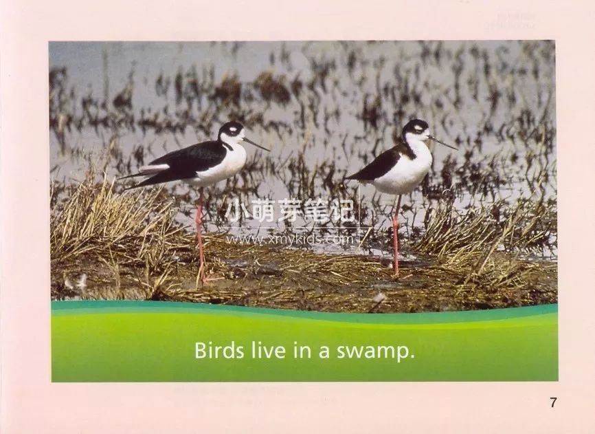 美国国家地理 图片9