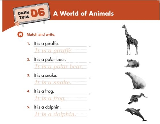 American textbook 图片12 American textbook 图片11