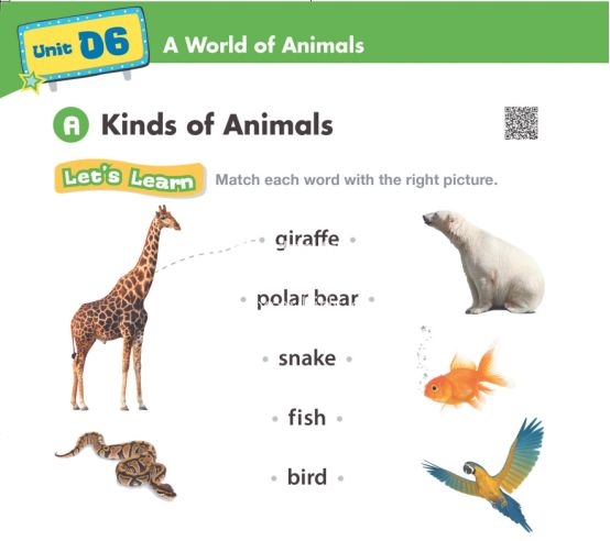 American textbook 图片6 American textbook 图片5