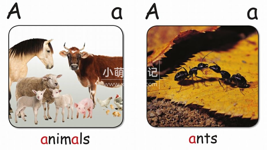 红火箭分级阅读 图片8 红火箭分级阅读 图片7