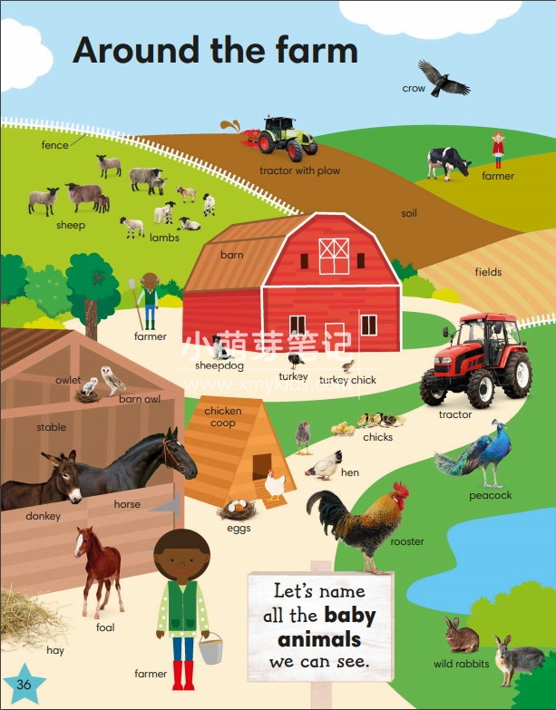 dk 1000 useful words 图片27