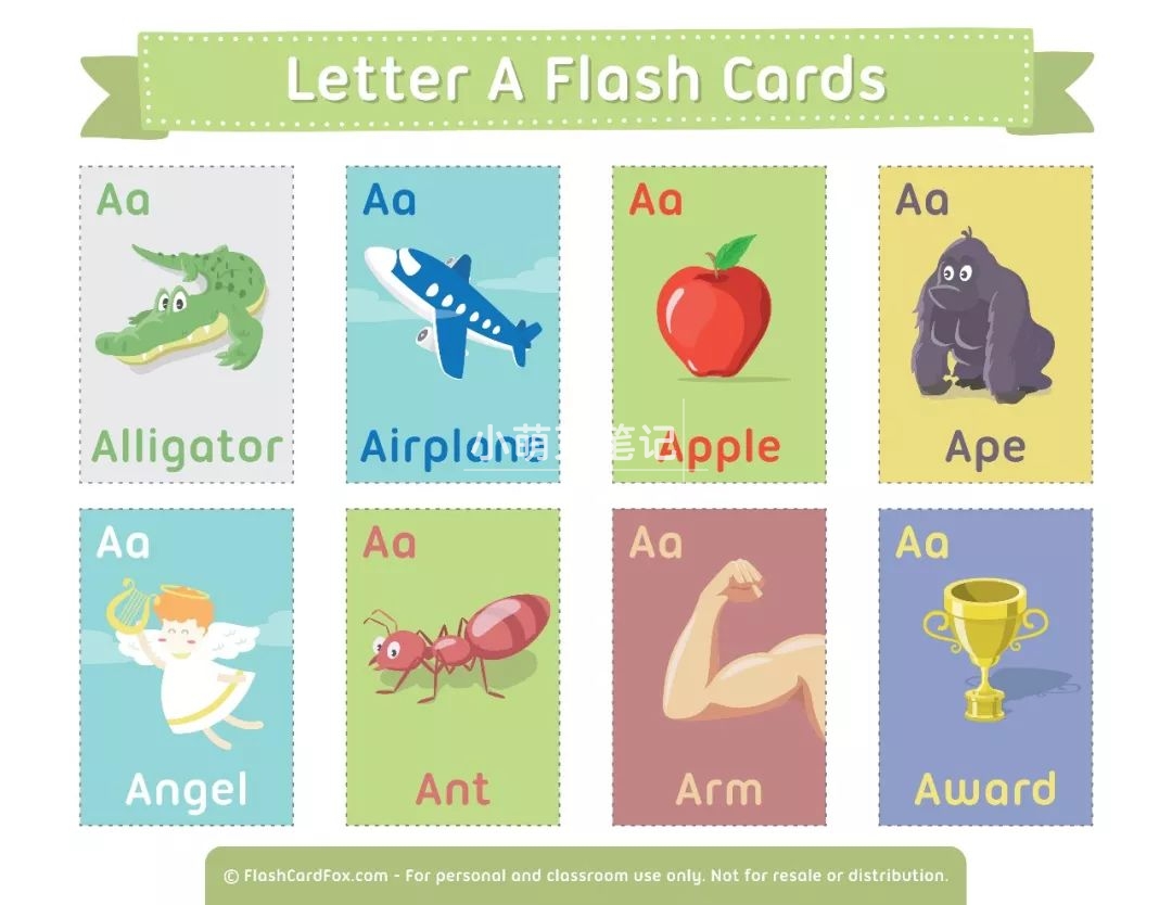 英语单词闪卡 图片3