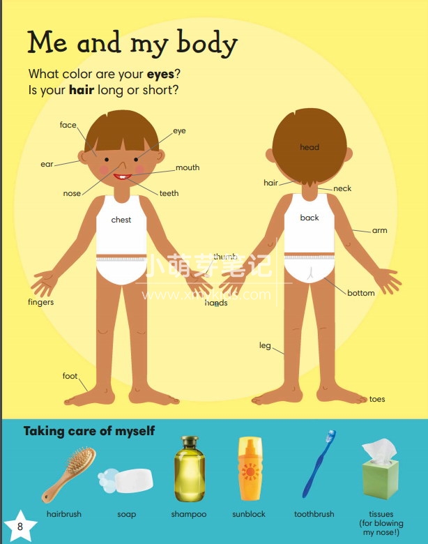 dk 1000 useful words 图片3