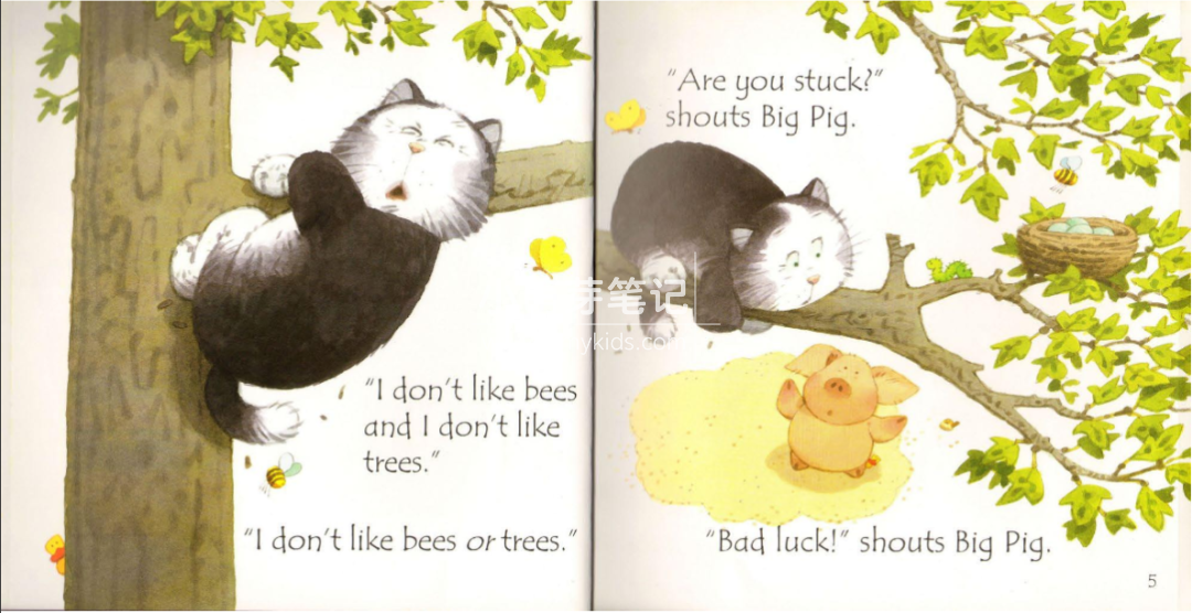 Usborne 斯伯恩绘本 斯伯恩自然拼读 图片16 Usborne 斯伯恩绘本 斯伯恩自然拼读 图片15