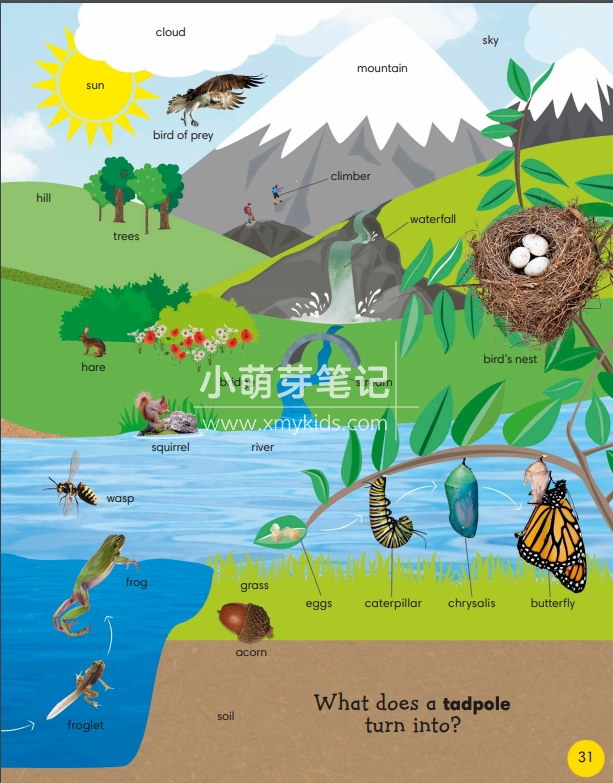 dk 1000 useful words 图片33