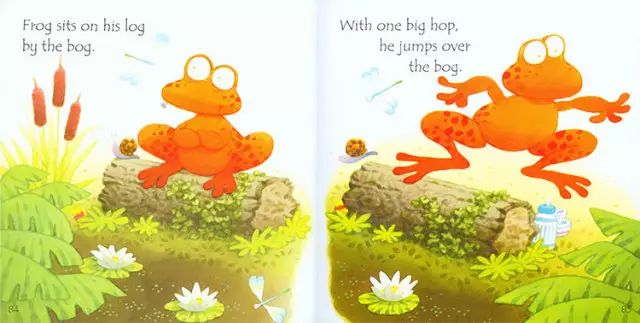 Usborne 斯伯恩绘本 斯伯恩自然拼读 图片12 Usborne 斯伯恩绘本 斯伯恩自然拼读 图片11
