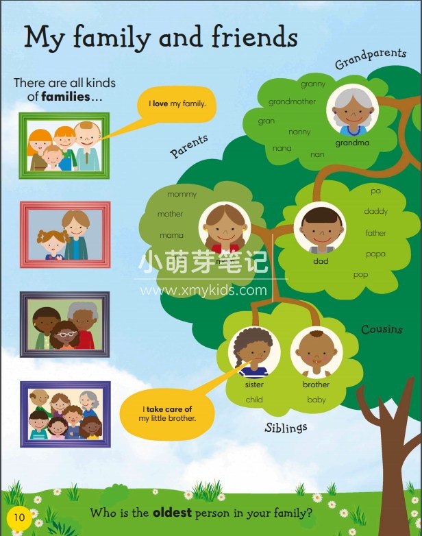 dk 1000 useful words 图片7