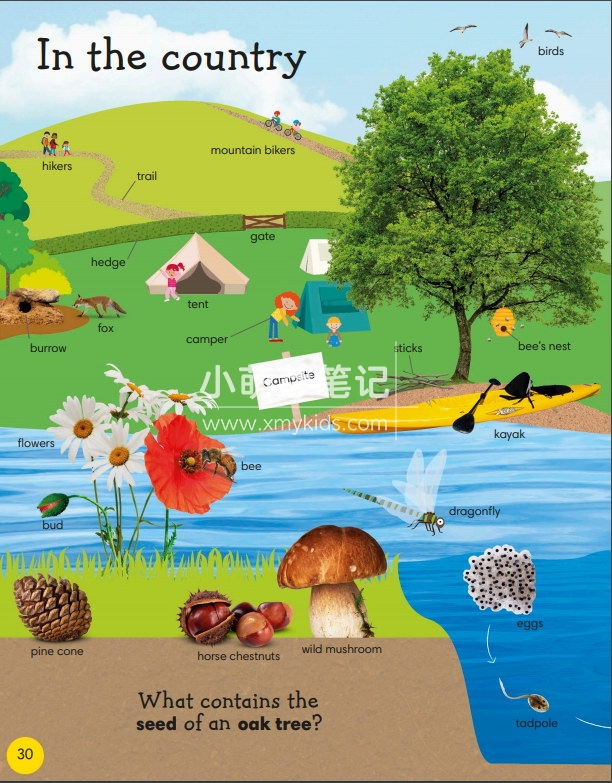 dk 1000 useful words 图片31