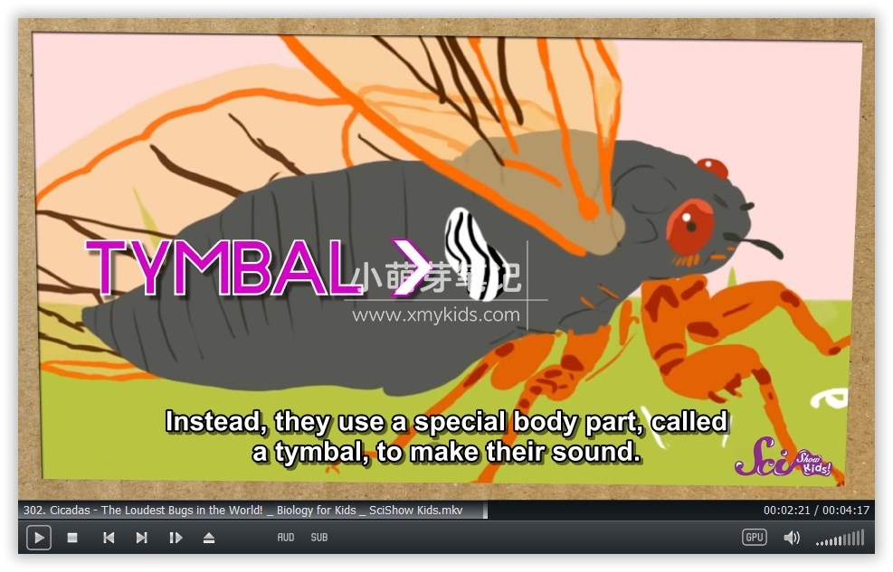 SciShow Kids 图片5