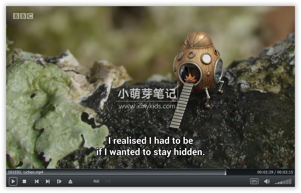 Tiny Wonders 图片10 Tiny Wonders 图片9