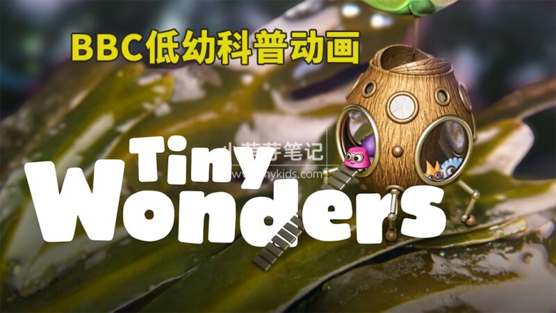 BBC英文科普动画《Tiny Wonders 小奇迹》全5季共51集,教你学会观察、探索自然界小奇观!百度云网盘下载!_小萌芽笔记