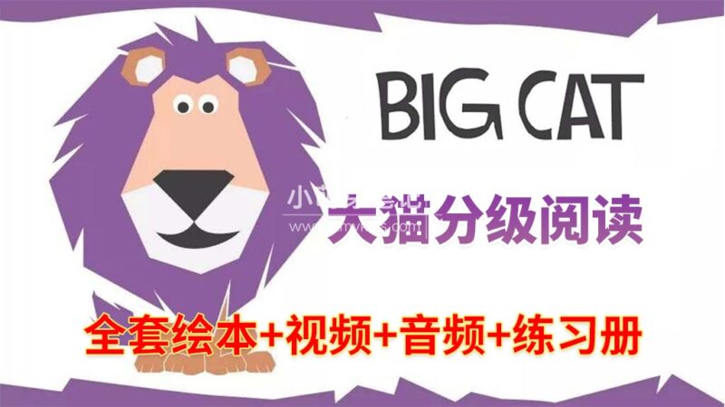 Big Cat大猫英语分级阅读自然拼读全套476册PDF绘本+289集视频+配套音频+配套练习册,百度云网盘下载!_小萌芽笔记