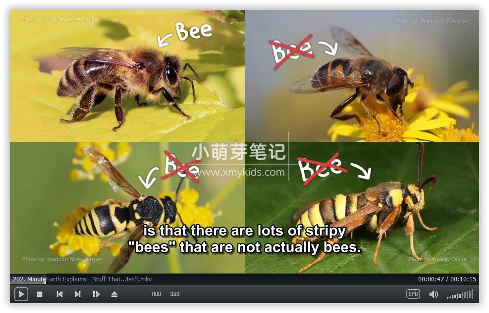 MinuteEarth 分钟地球 图片16 MinuteEarth 分钟地球 图片15