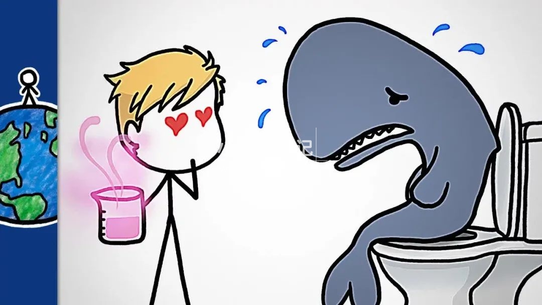 MinuteEarth 分钟地球 图片8 MinuteEarth 分钟地球 图片7