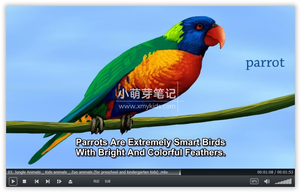 Socratica Kids 图片7